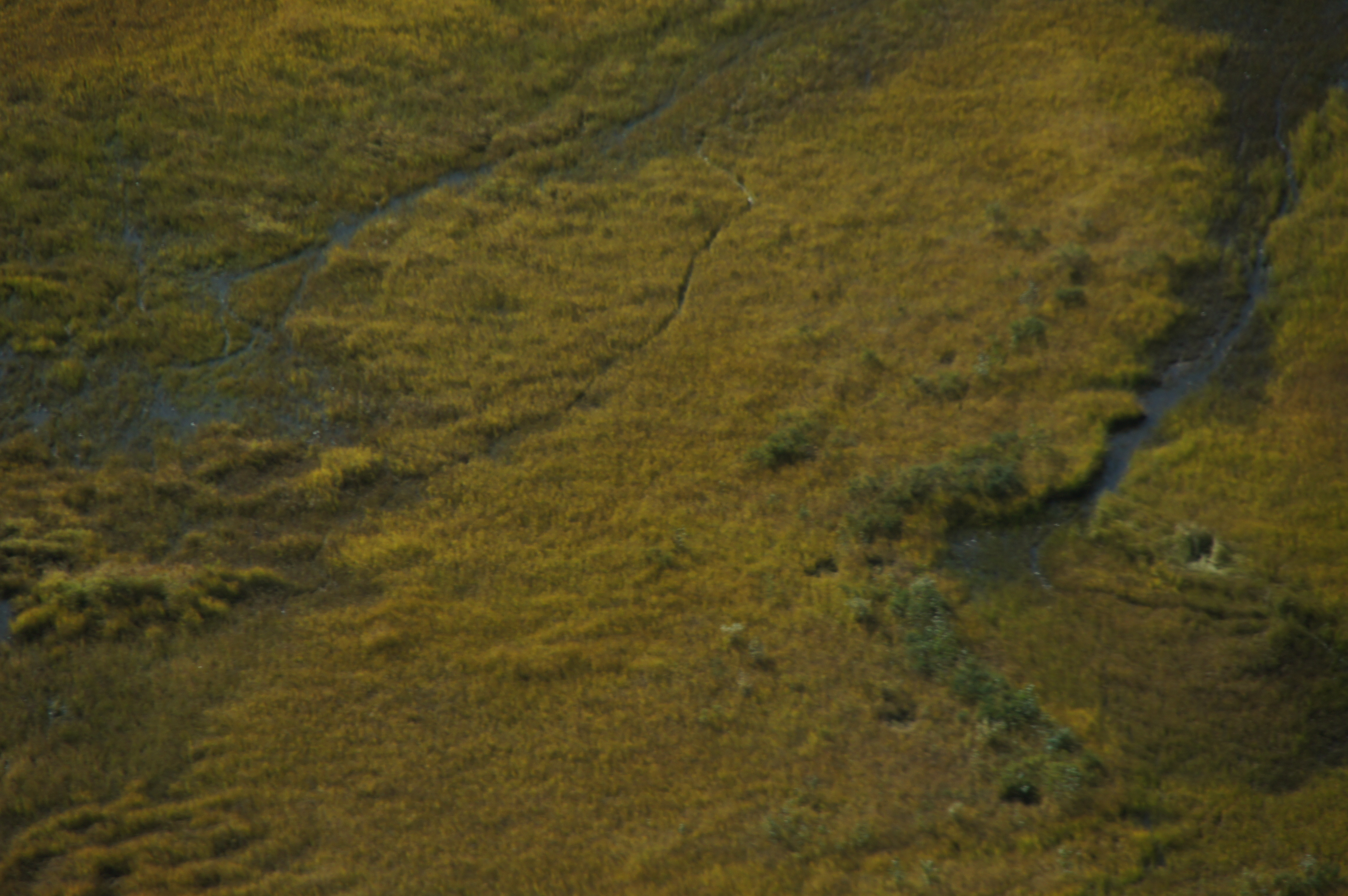 Click to return to the thumbnail index